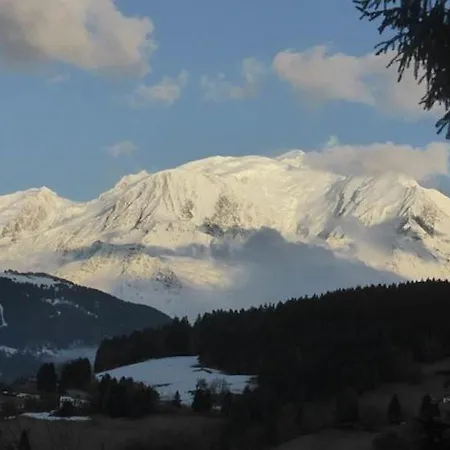 Mireneige, Charme Et Confort Face Au Mont Blanc Alpehytte *